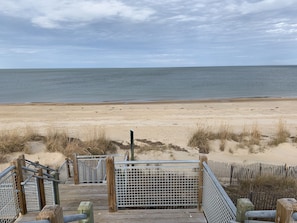 Beach - Pink Flamingo - Pet Friendly, Beach Side, Wi-Fi (Norfolk)
