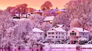 Eksteriør