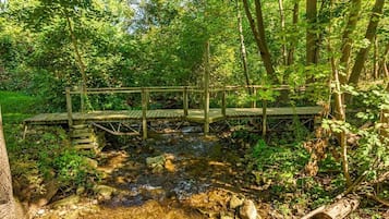 Terrain de l’hébergement