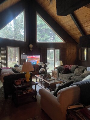 Een knusse woonkamer met een open haard, grote ramen en een televisietoestel.