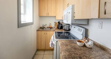 Lovely App Downtown Ottawa 29D