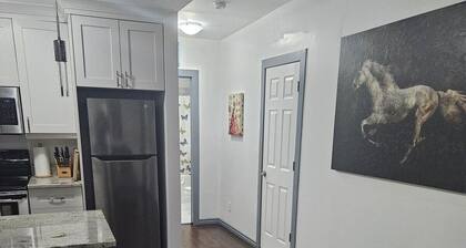 Lovely App Downtown Ottawa 210D