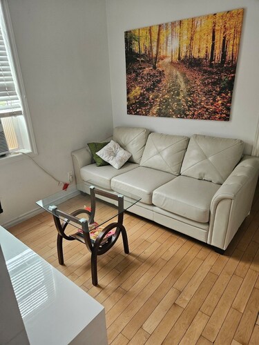 Lovely Place Downtown Ottawa 35D