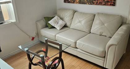 Lovely Place Downtown Ottawa 35D