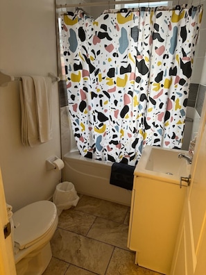 Secador de pelo y toallas