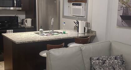 Entire Place Downtown Ottawa 39D