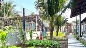 Ein Garten mit verschiedenen Pflanzen und einem Weg.