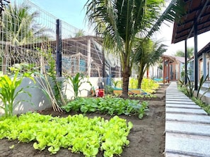 Área da propriedade