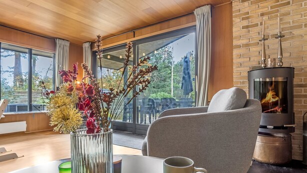A cozy living room with a fireplace, a comfortable chair, a table with a book and a mug, and a vase with dried flowers. - "Sheyla" - 70m from the sea by Interhome (Væggerløse)