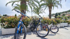 Unclassified image, 4 of 27, button - Holiday Home Bliss - Holiday Home With Outdoor Pool and Sea View (Supetar)