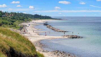 Ein Küstenstrand mit felsigen Ufern, blauem Himmel und Bäumen in der Ferne.