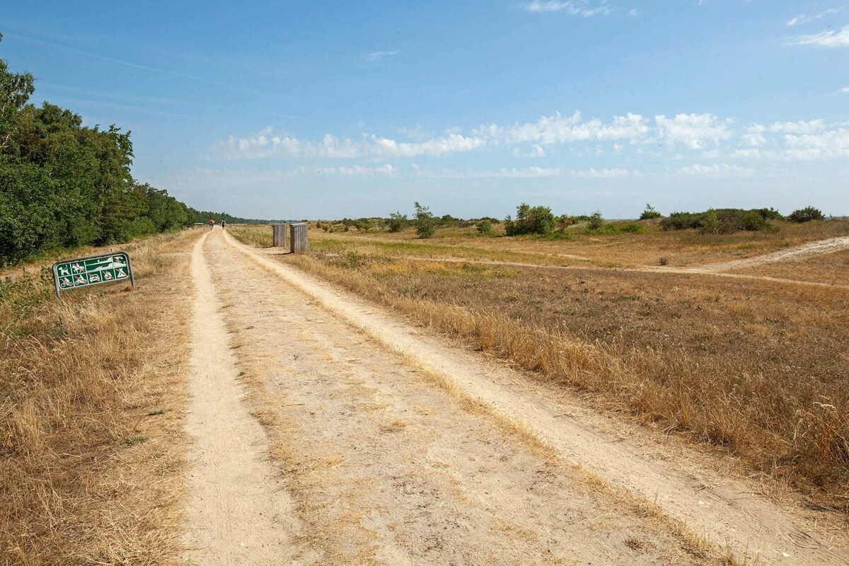A dirt road with a sign indicating a nature trail.