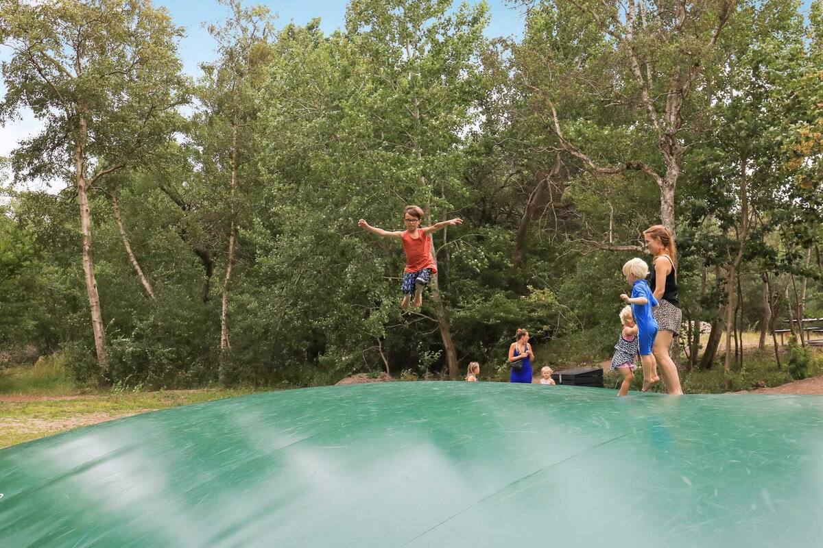 A trampoline in an outdoor setting surrounded by trees.