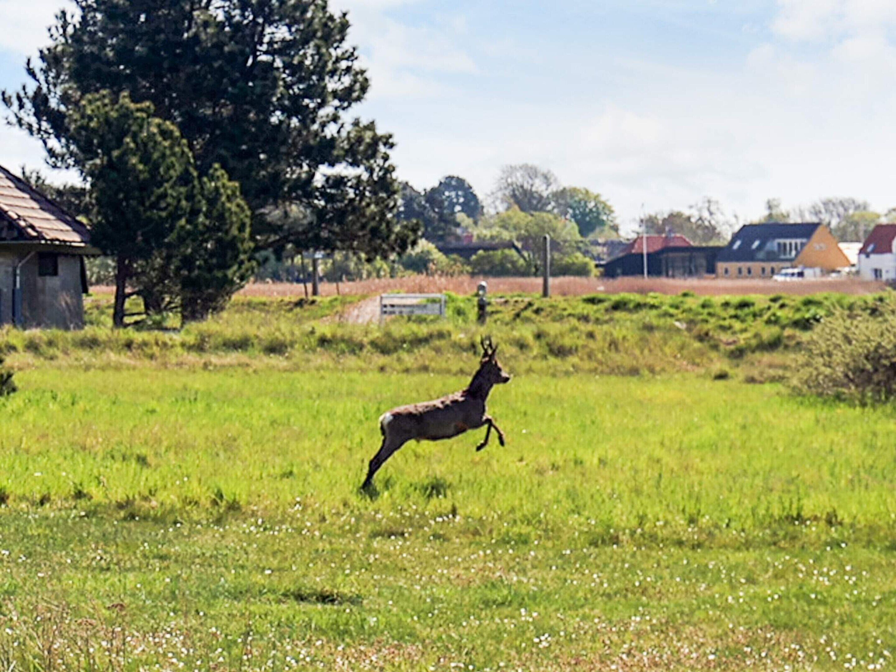 Luksus-hus - 2 soveværelser | Diverse