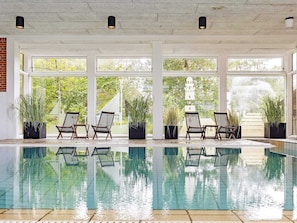 Una piscina interior con paredes de vidrio transparente, dos sillones de descanso y plantas en macetas.