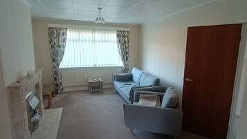 Smart TV, fireplace, books