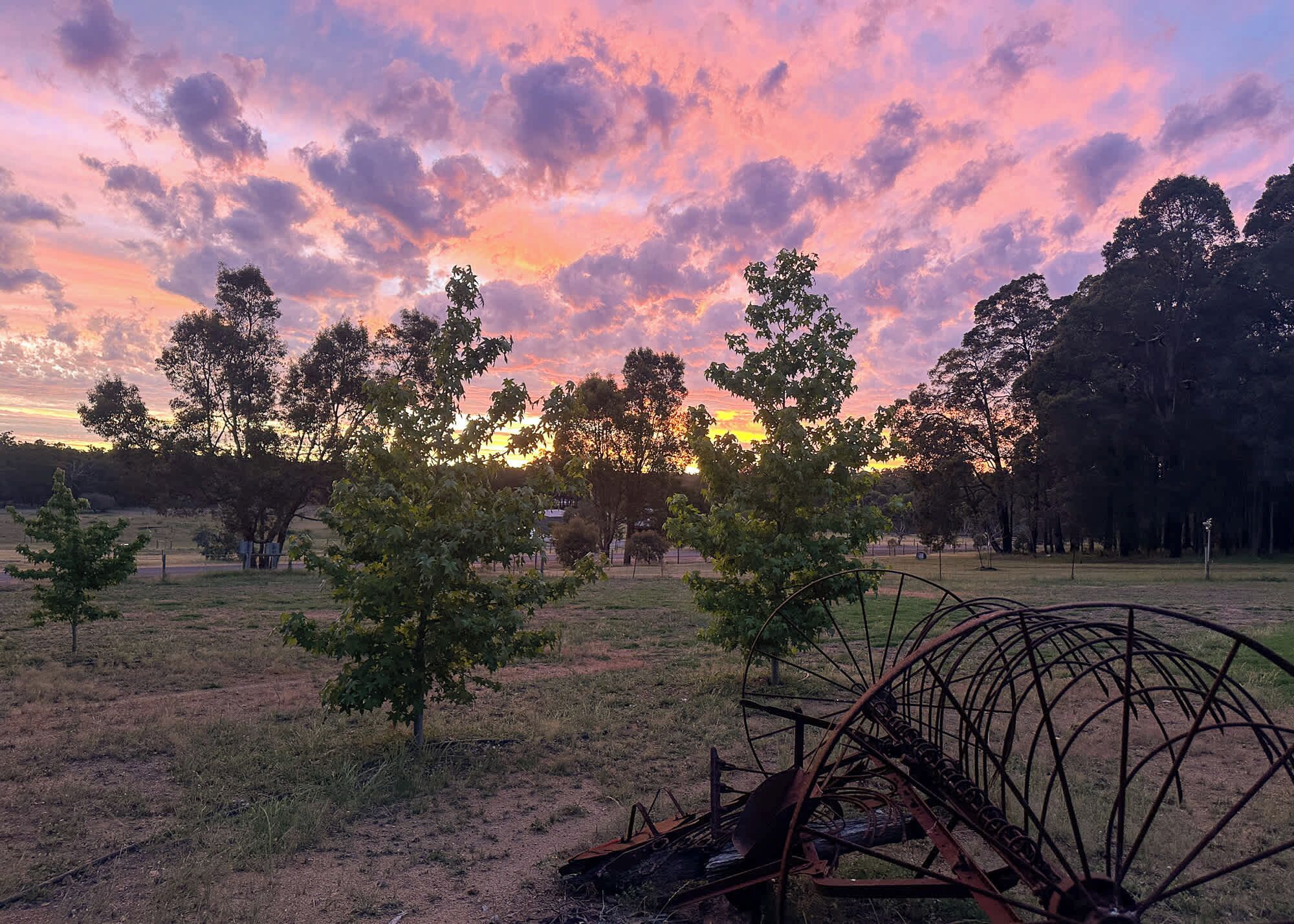 A field with trees and a metal structure.