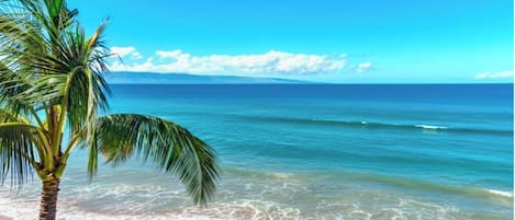 Uma praia com águas azul-claras, uma palmeira e uma pessoa caminhando na areia.