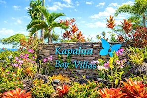 Une pancarte en pierre sur laquelle est inscrit « Kapalua Bay Villas », entourée de plantes tropicales et de palmiers.