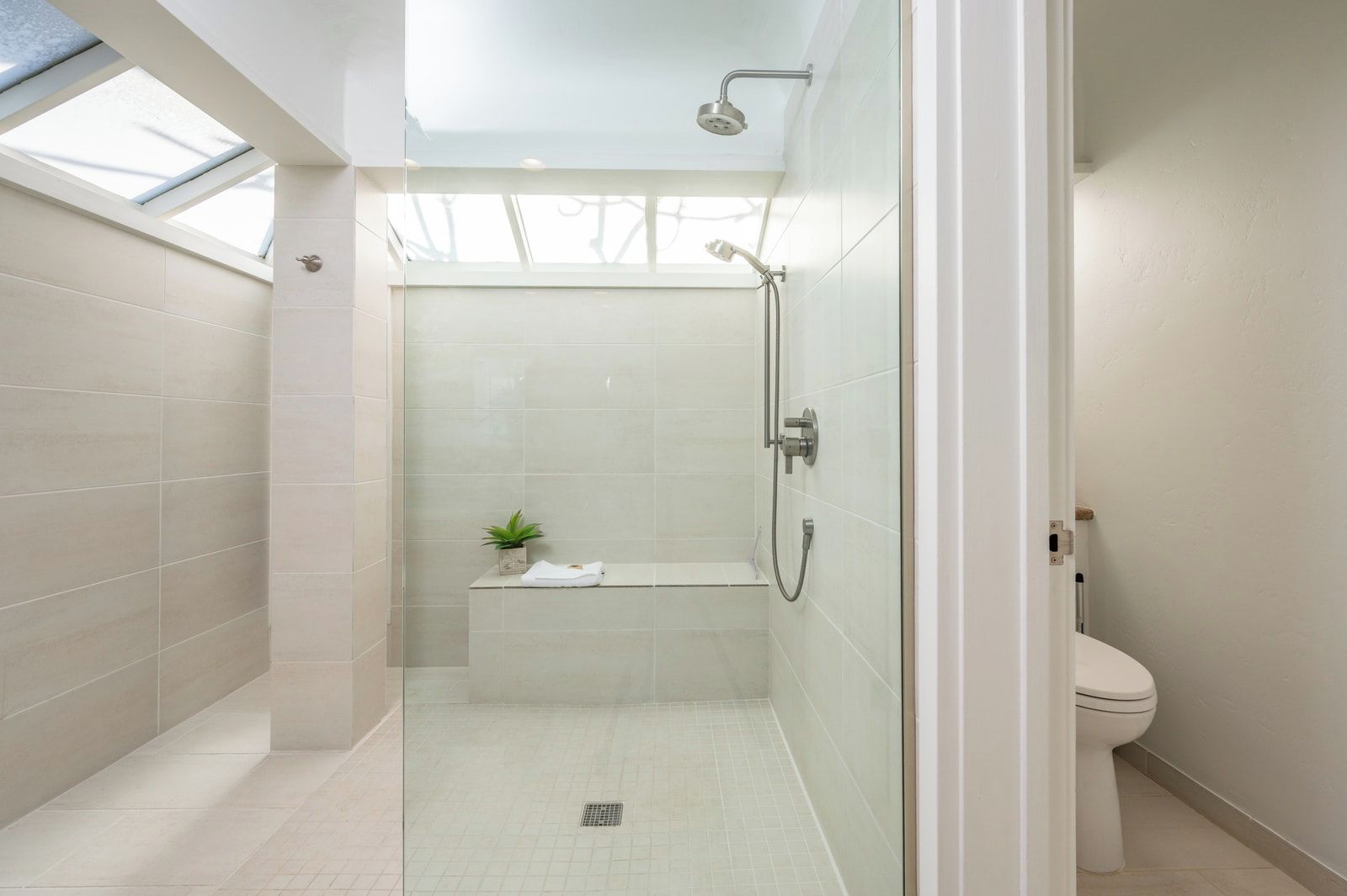 Een moderne badkamer met een douchecabine van glas, een toilet en een klein plankje met een plant.