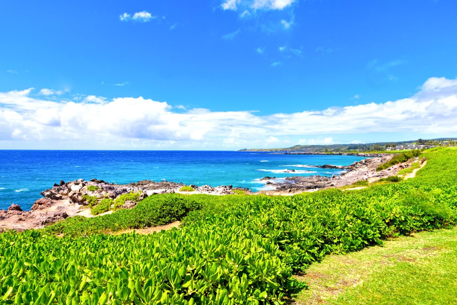 Un paysage côtier caractérisé par une végétation luxuriante et un ciel d’un bleu limpide.