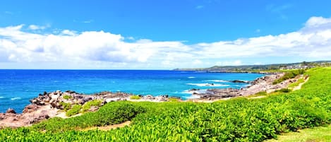 A coastal landscape with lush green vegetation and a clear blue sky.