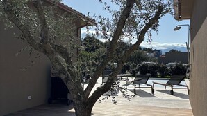 Un árbol en un patio interior con un edificio al fondo.