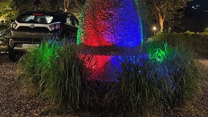 A nighttime outdoor display with a colorful, illuminated sculpture surrounded by trees and a parked car. - Kumaoni Karavan Camps Resort (Nainital)