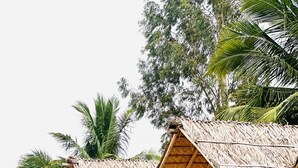 Comfort Single Room - Bliss Hampi Eco Resort (Koppal)