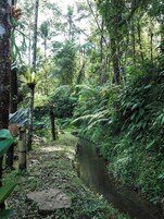 Jardín
