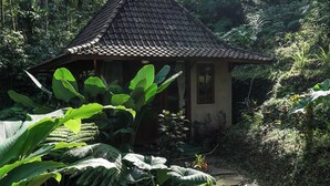 Une petite maison traditionnelle avec un toit en tuiles, entourée d’une végétation luxuriante et accessible par un chemin de pierre.