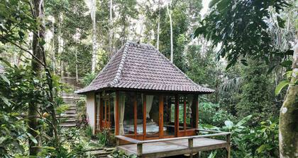 The Karu Cabin by AGATA