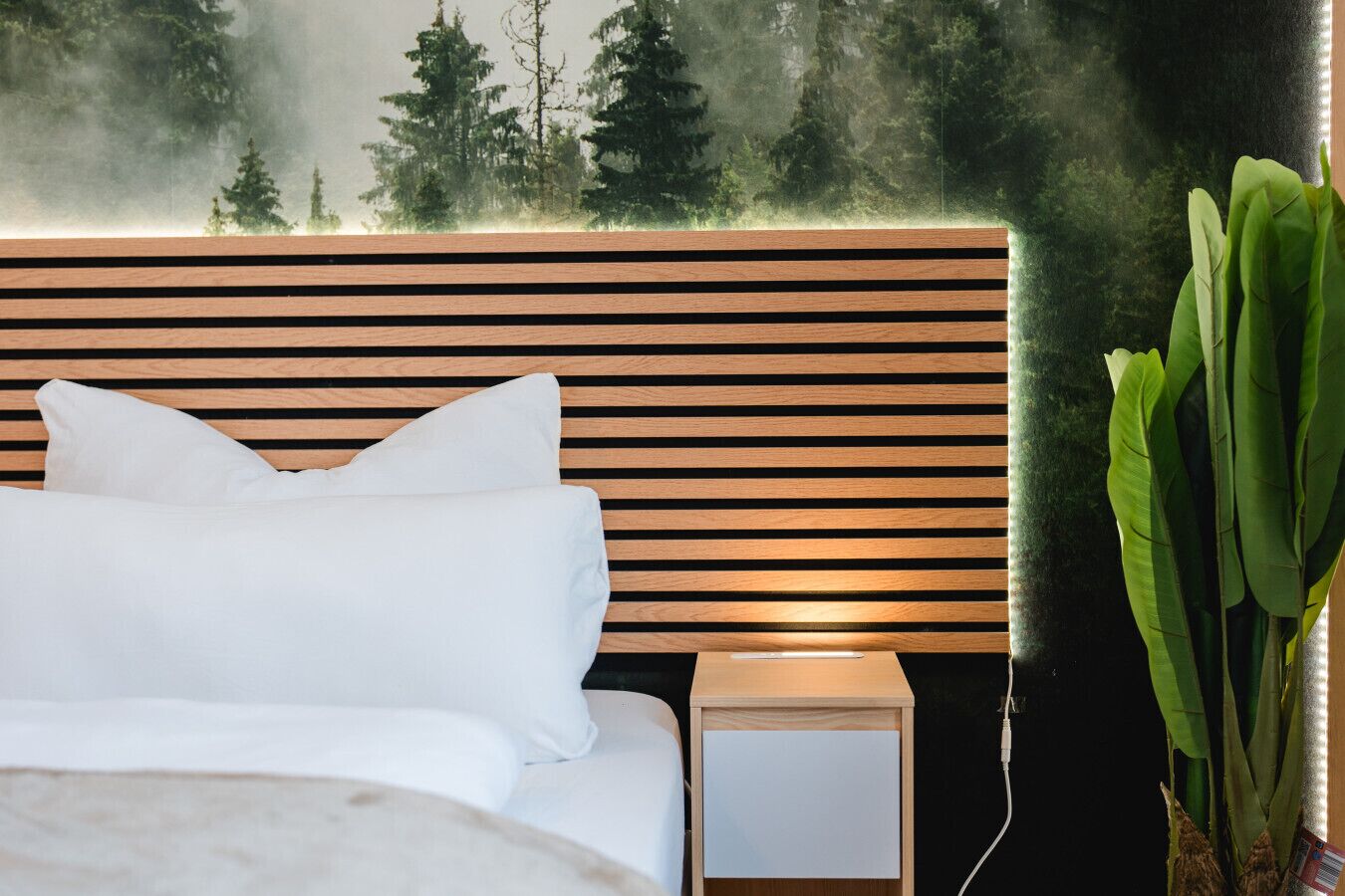 A modern bedroom with a wooden headboard, white bedding, a bedside table, and a large green plant.