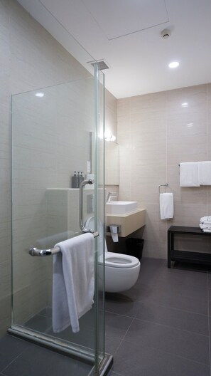 Shower, free toiletries, hair dryer, towels