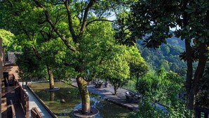 A serene riverside walkway with wooden benches, a clear view of the river, and lush greenery. - Lushimon Retrecrt (Hangzhou)
