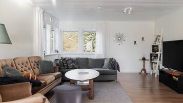 تلفزيون، مدفأة