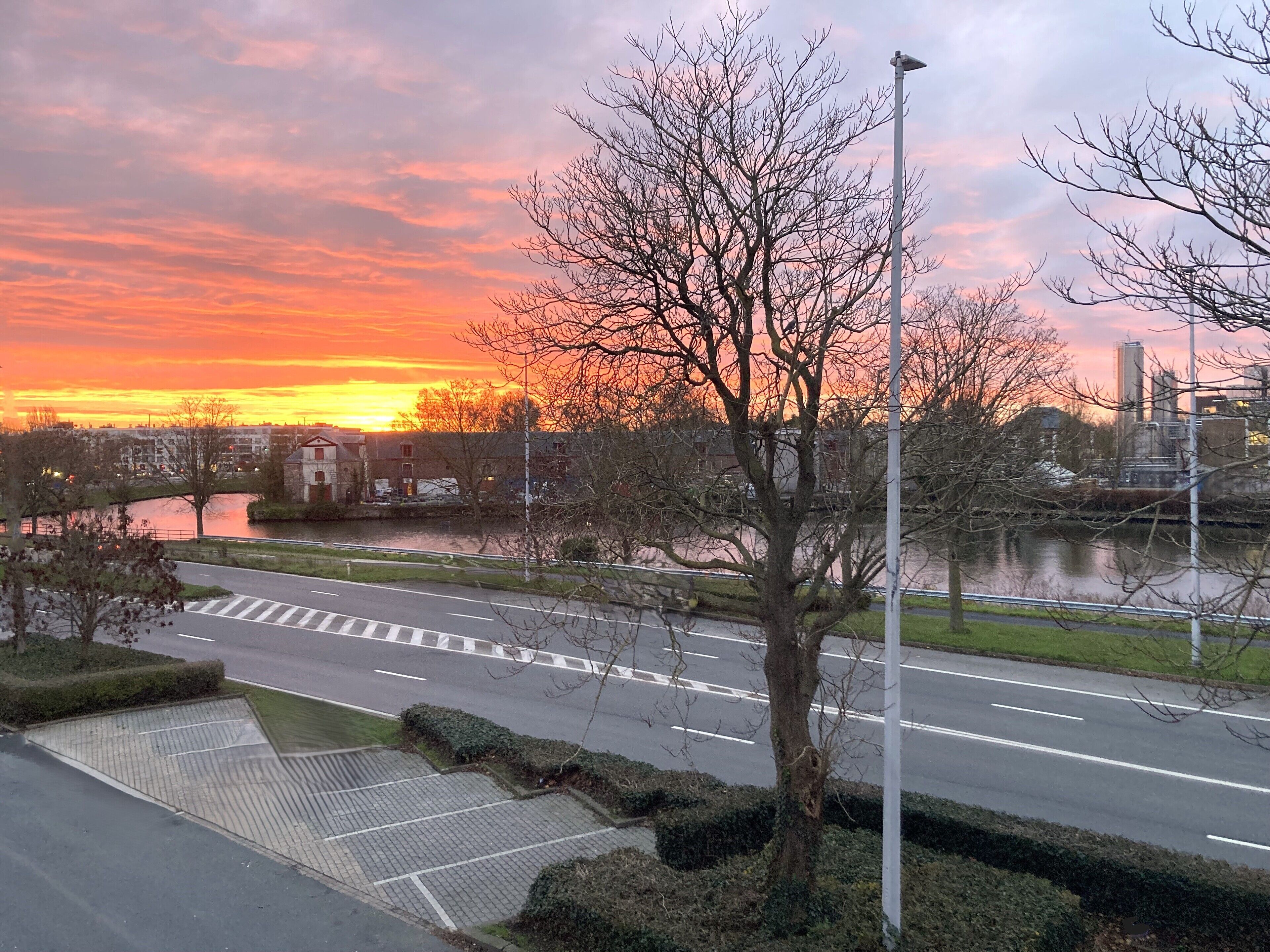 Ein Blick auf eine Straße mit Fußgängerüberweg, einem Baum und einem Fluss im Hintergrund.
