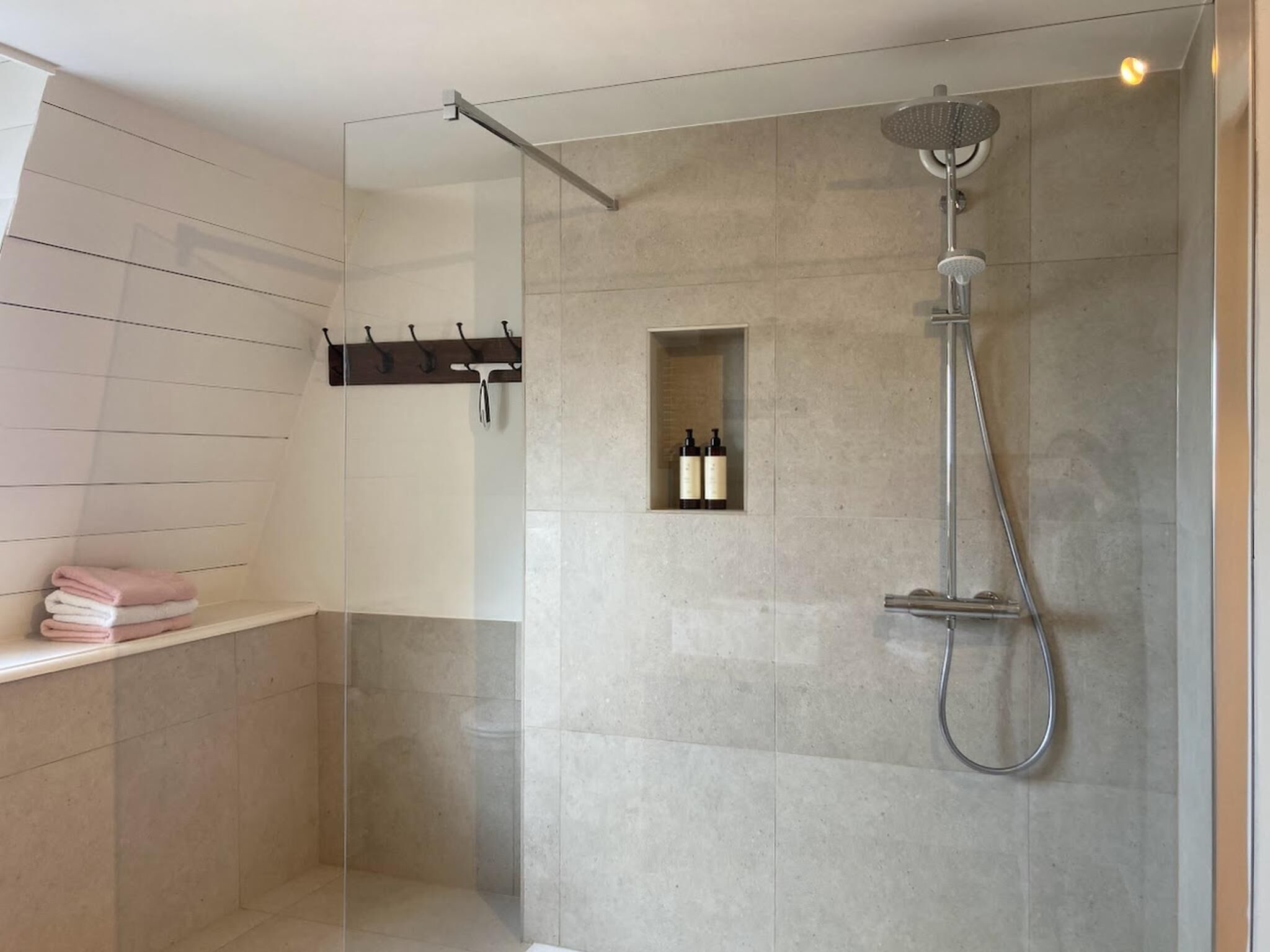 Una ducha moderna con puerta de cristal, un perchero y un estante pequeño con botellas.