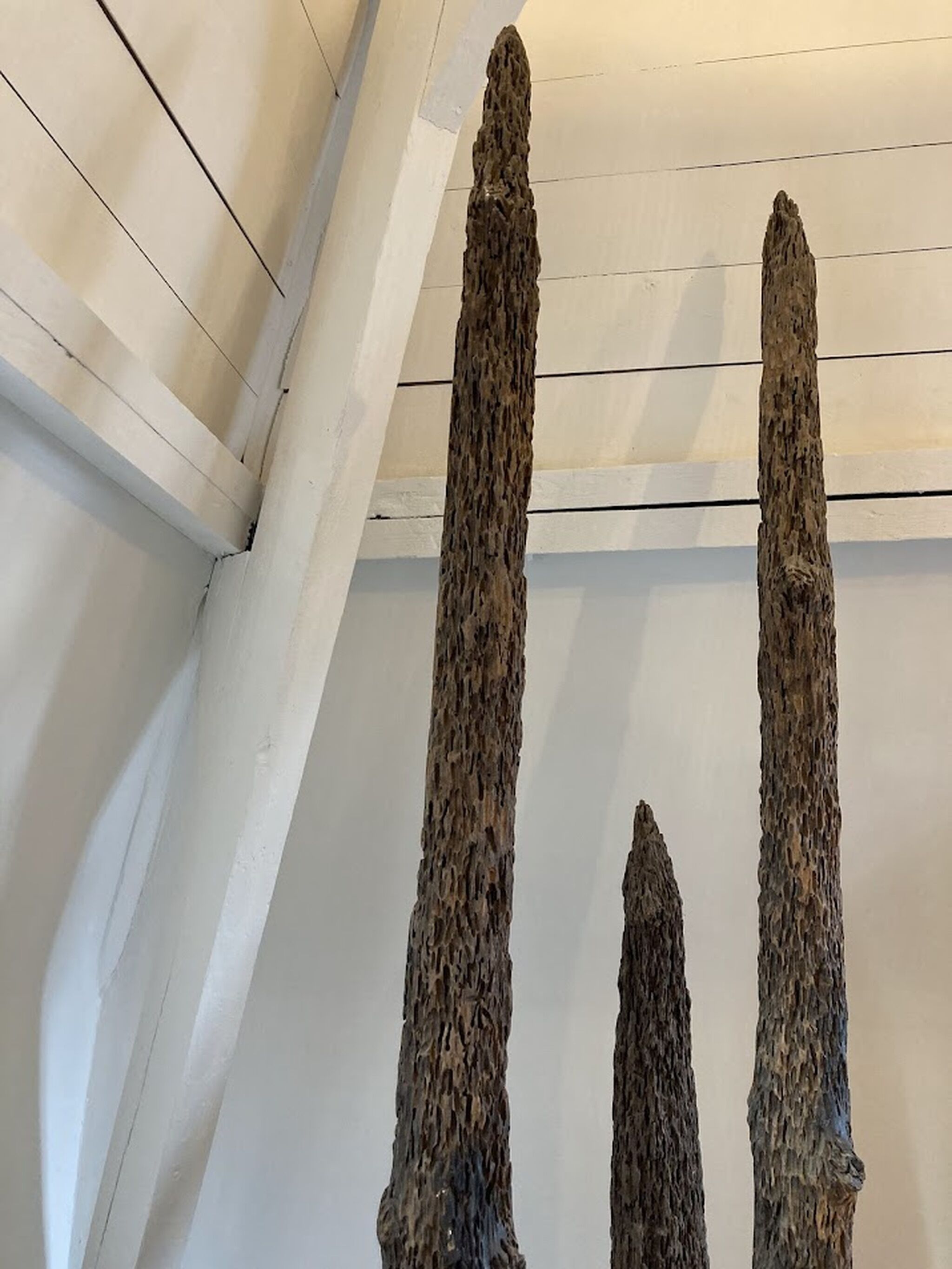 Une pièce dotée d’un plafond en pente et de deux hautes colonnes à la texture particulière.