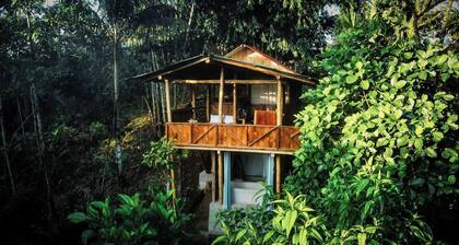 Retiro en la selva amazónica de Toucan Lodge