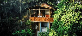 Toucan Lodge Amazon Rainforest Retreat