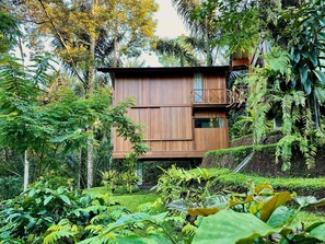 Una cabaña de madera rodeada de exuberante vegetación y plantas tropicales.