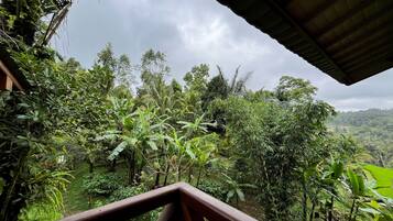 Vista desde la propiedad