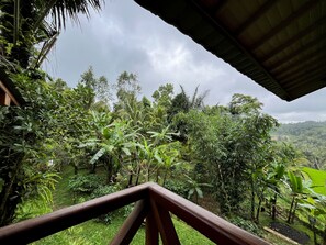 Vista desde la propiedad