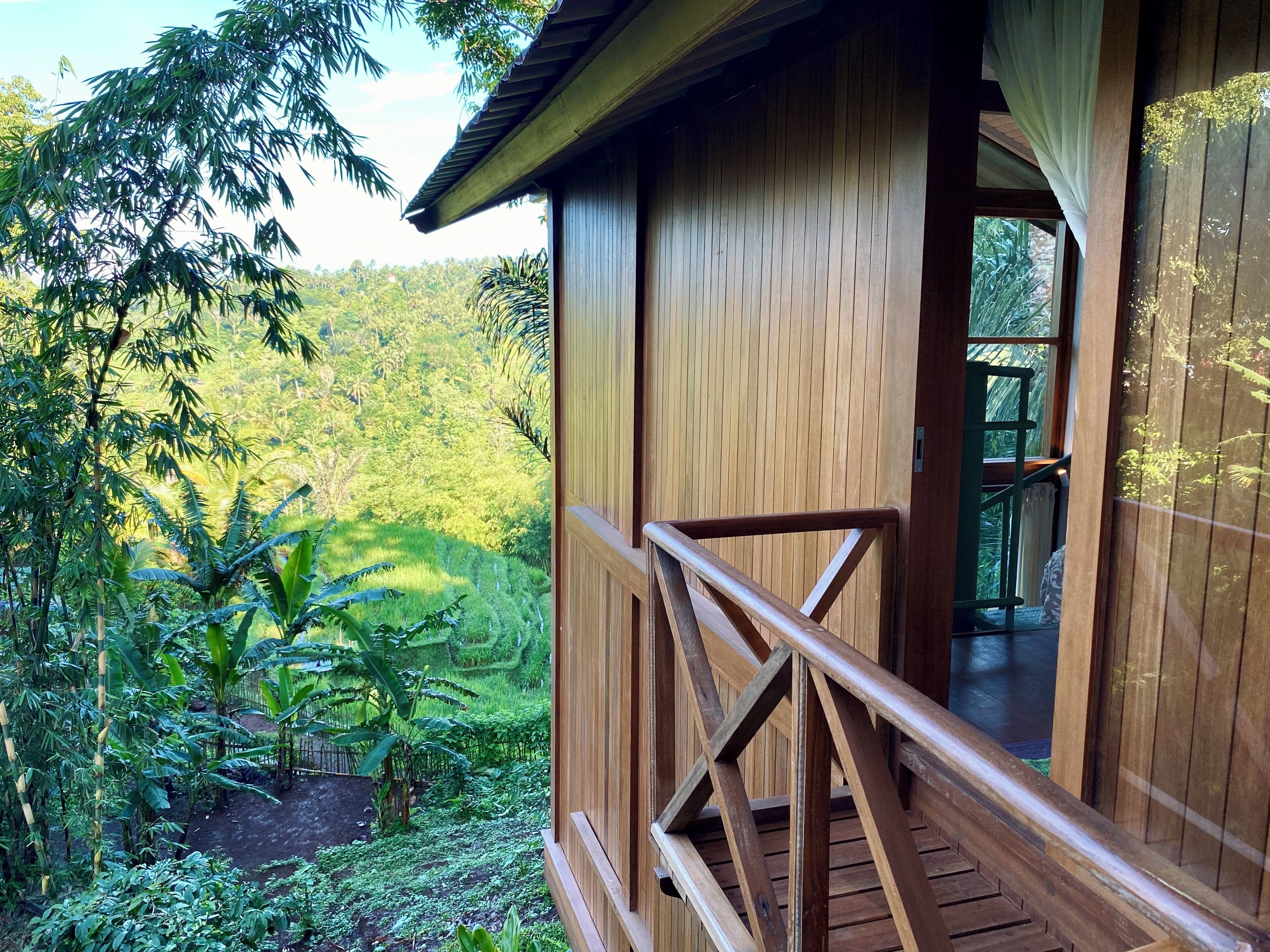 Cabin, Garden View | View from room