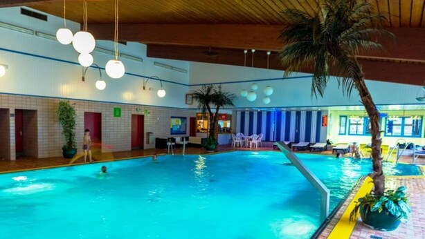 An indoor swimming pool with a wooden ceiling, hanging lights, and a palm tree. - Haus Sonnenschein an der Skipiste (Herrischried)