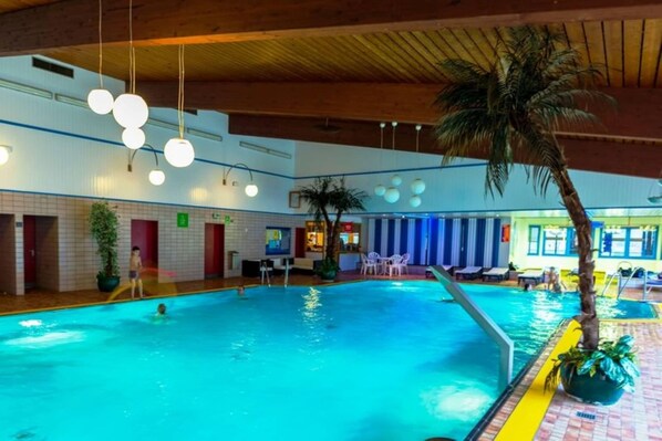 Una piscina interior con techo de madera, luces colgantes y una palmera.