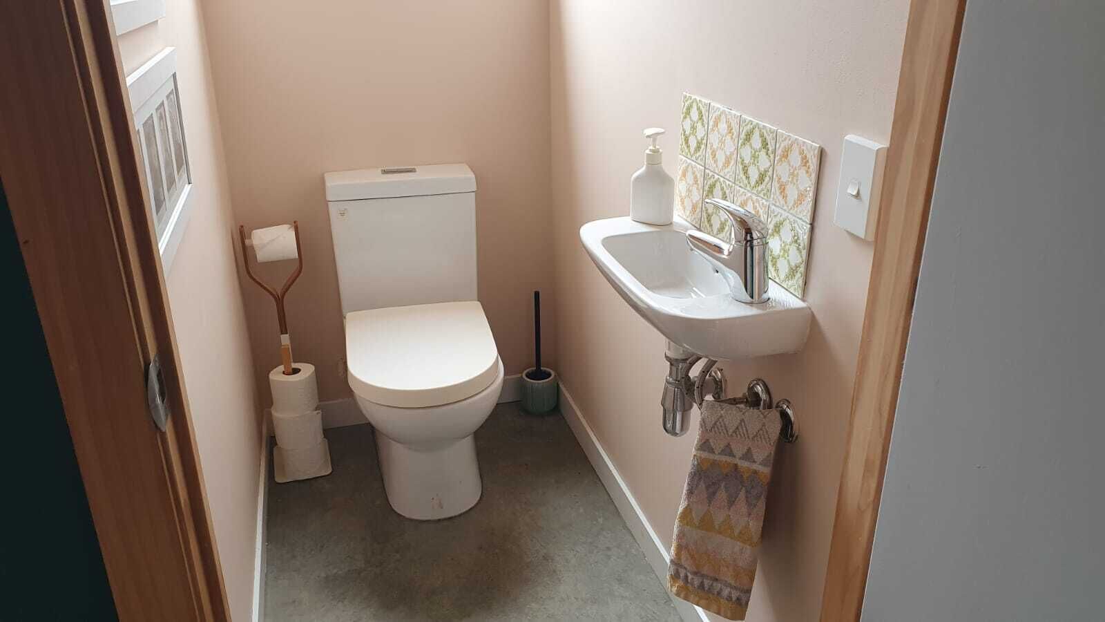 Een kleine badkamer met toilet, wastafel en toiletrolhouder.
