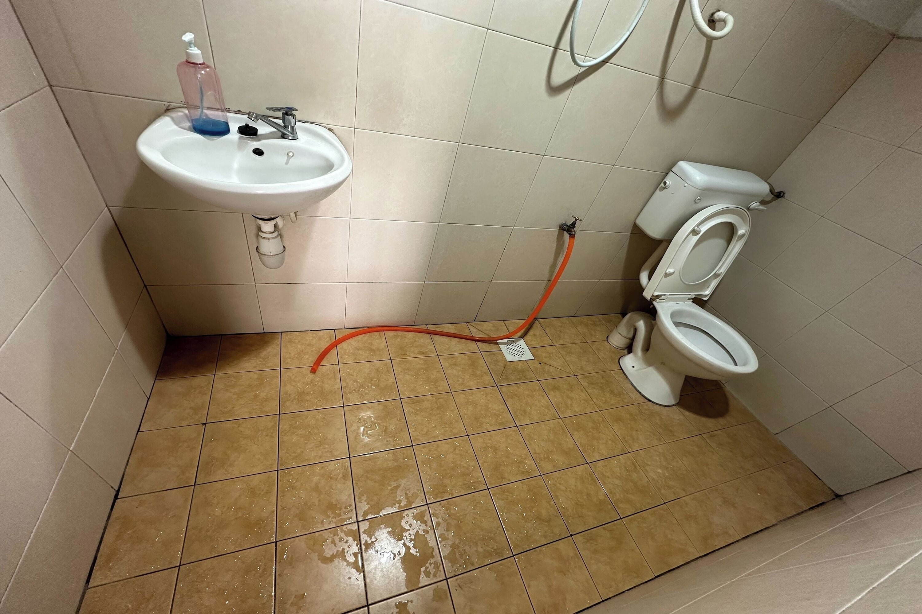 Shower, rainfall showerhead