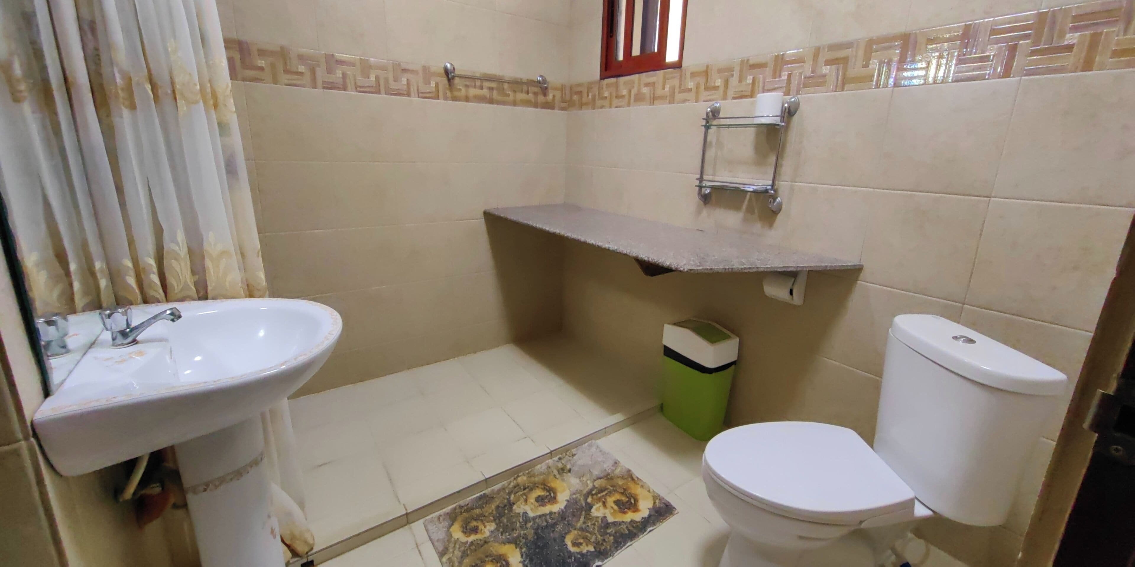 A bathroom with a sink, toilet, and a small shelf.